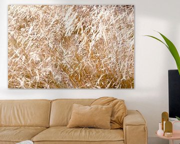 Golden Field Soft Wind by Nicole Schyns