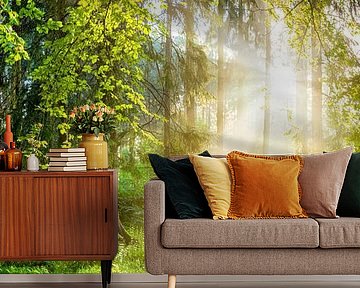 Sunrise in the forest by Günter Albers