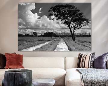Clouds, tree and path by robert wierenga