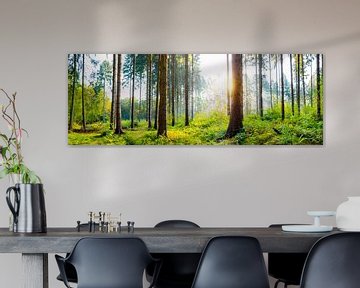 Wald im Sommer bei Sonnenaufgang von Günter Albers