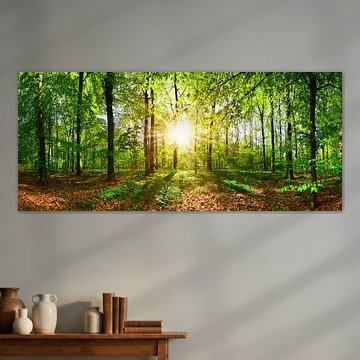 Sonne und Wald von Günter Albers