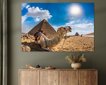 Kameel in de Egyptische woestijn van Günter Albers