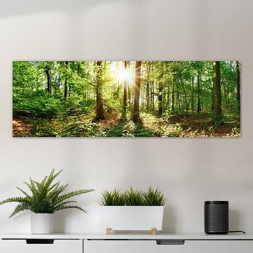 Wunderschöne Natur von Günter Albers