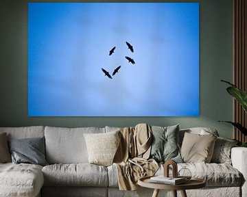 Eine Gruppe von Vögeln schwebt in einem Kreis hoch am Himmel mit blauem Hintergrund. von Twan Bankers