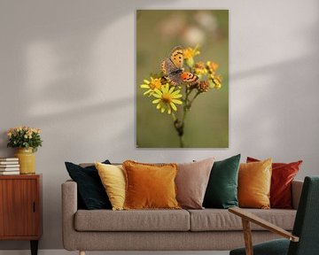 Oranger Schmetterling auf gelben Blüten von Eline Lohman