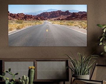 Valley of Fire State Park On The Go! by Jeroen Somers