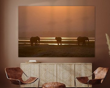 Elefanten bei Sonnenuntergang von Andius Teijgeler
