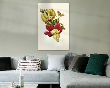 Print of banana plant