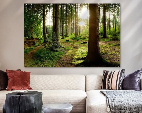 Aperçu de la chambre