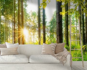 Sunrise in the forest by Günter Albers