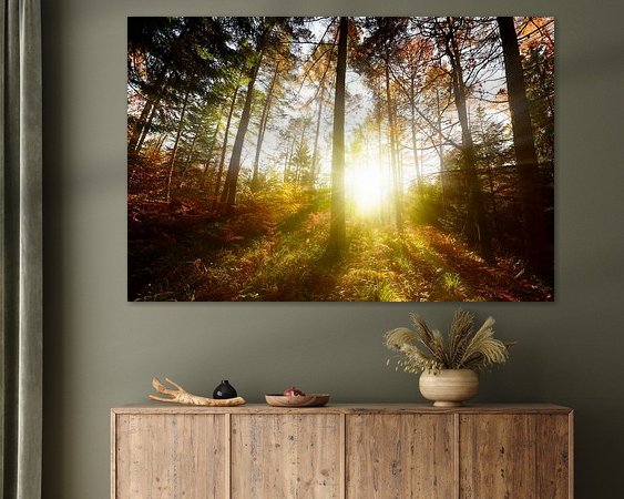 Aperçu de la chambre