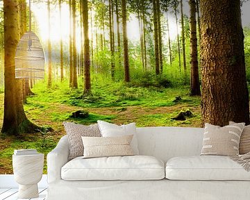 forest panorama by Günter Albers