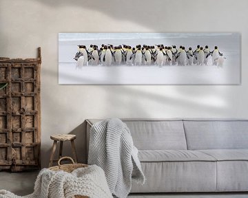 Nur ein paar Pinguine (Expo-Version) von Claudia van Zanten