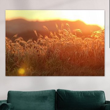 Zonsopkomst 'i love it'