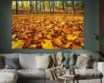 Herfstbladeren in beukenbos van Fokko Erhart