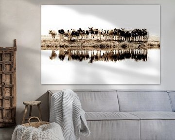 cows in a row (sepia) (gezien bij vtwonen) van Annemieke van der Wiel
