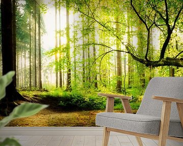 Light-flooded forest by Günter Albers