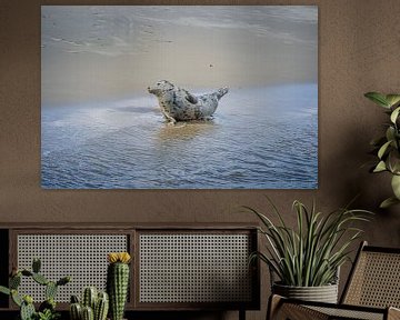 Phoque gris sur le bord de l'eau sur Annemarie van der Hilst