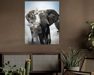 Elephant, Namibia by Thomas Bartelds