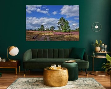 Westruper Heath HDR 5