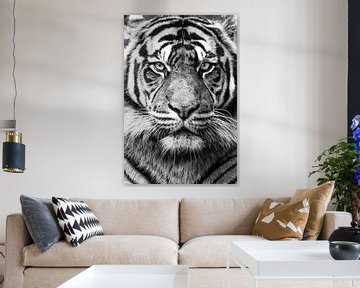 Tigre noir et blanc sur Marja Suur