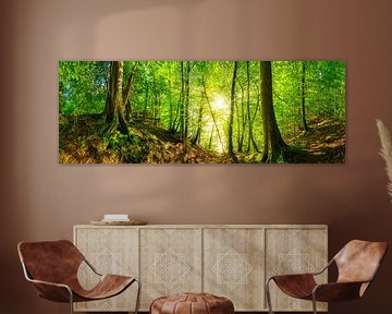 Forest panorama with shining sun by Günter Albers