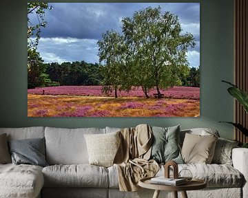 Marche de la lande 2