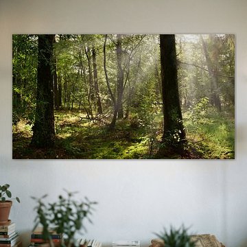 Een ochtend in de natuur