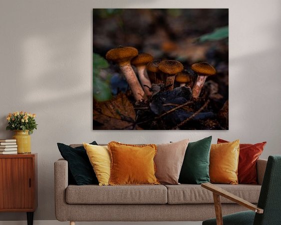 Aperçu de la chambre