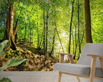 Forest in the Eifel region by Günter Albers