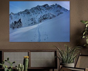 Spur im Schnee von Tjaard Heikens