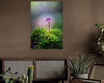 Mushroom between the moss by Coby Bergsma