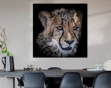 Portret van Cheetah welp in Namibië van Jille Zuidema
