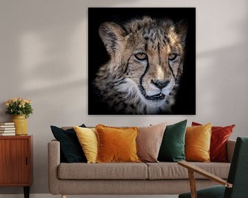 Portret van Cheetah welp in Namibië