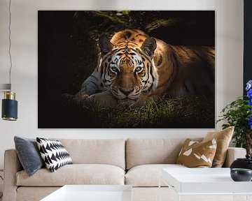 Beautiful tiger watching you van Sandra Hazes