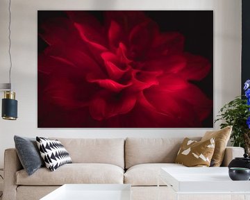 Perfect red flower dark & moody van Sandra Hazes