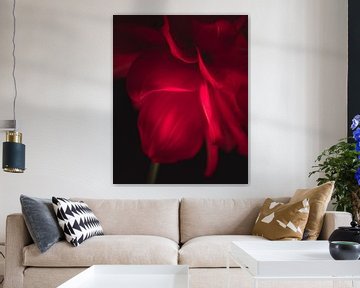Perfect red petal dark & moody van Sandra Hazes