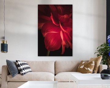 Fine art Dahlia van Sandra Hazes