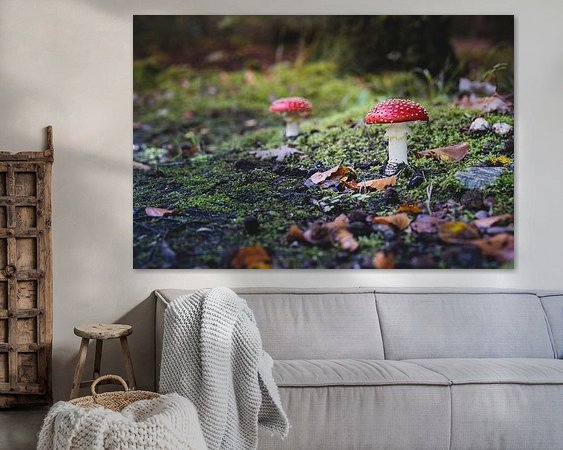 Aperçu de la chambre