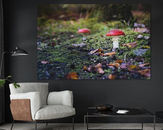 Aperçu de la chambre