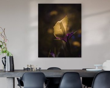 Yellow wings butterfly dark & moody van Sandra Hazes
