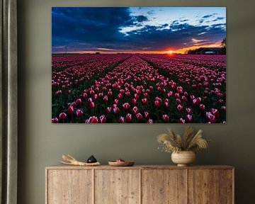 Sonnenuntergang Tulpenfeld von Rick Kloekke