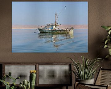 Vieux bateau flottant habité par des pélicans