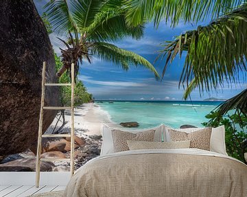 Tropical beach of the Seychelles by Krijn van der Giessen