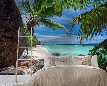 Tropisch strand van de Seychellen van Krijn van der Giessen