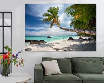 The most beautiful tropical beach in the Seychelles by Krijn van der Giessen