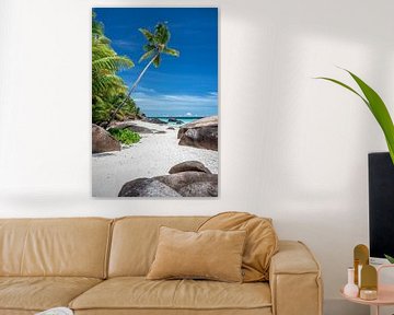 Tropischer Strand mit Palmen auf den Seychellen von Krijn van der Giessen