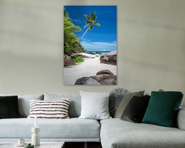 Tropisch strand met palmboom op de Seychellen van Krijn van der Giessen