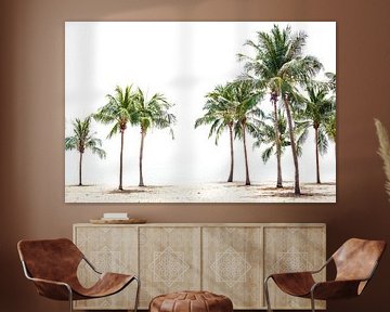 Palm Beach by Simone Karis