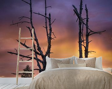 Herbstliche Pracht auf Heideflächen von Sjors Gijsbers